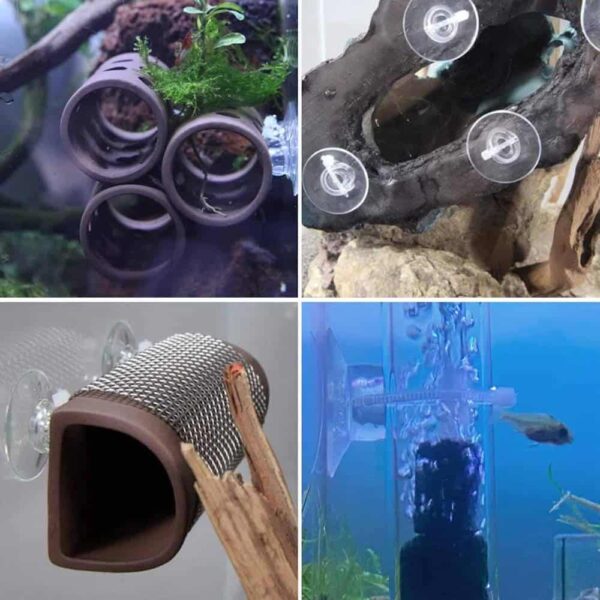 Red & Oriental Mangrove Combo Bundle - Image 12