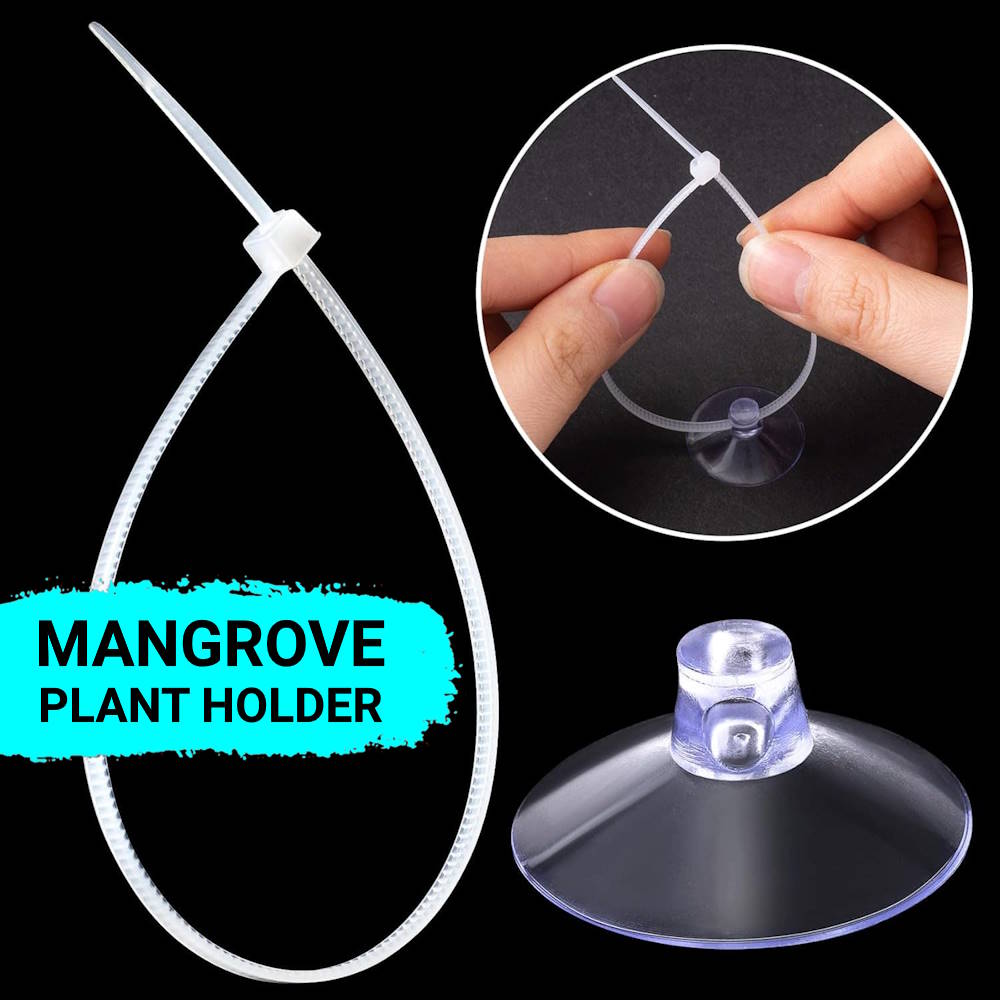 Mangrove Plant Holders