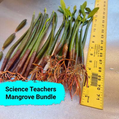 Science Teachers Mangrove Classroom Kit